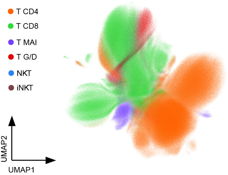 UMAP overview of the T cell atlas